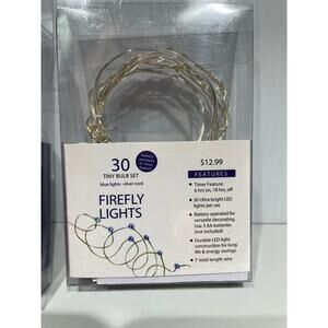 Firefly Lights 30 Blue Ultra Bright Lights on Silver Cord Battery Operated